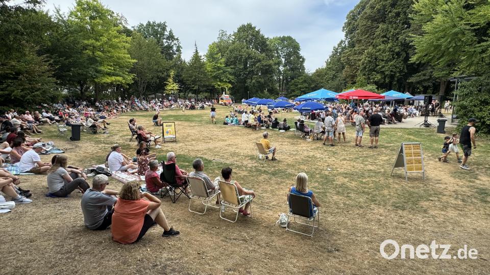Knapp 500 Besucher tummeln sich trotz bestem Badewetters bei kostenlosem Eintritt vor dem Musikpavillon im Weidener Max-Reger-Park. Bild: Martin Gollwitzer