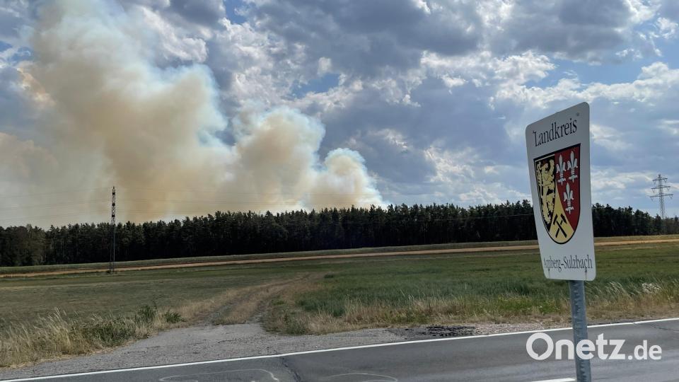 Bei Holzhammer (Schnaittenbach/Landkreis Amberg-Sulzbach) ist am Montagmittag ein Waldbrand ausgebrochen. Bild: za