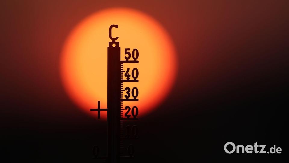 Mehrere Hitzewellen haben die Temperaturen vielerorts auf Rekordwerte getrieben. (Archivbild) Bild: Thomas Warnack/dpa
