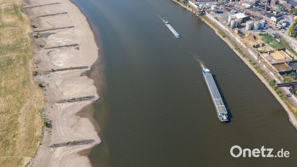 Das Niedrigwasser im Rhein bereitet der Schifffahrt große Probleme. (Archivbild) Bild: Christoph Reichwein/dpa