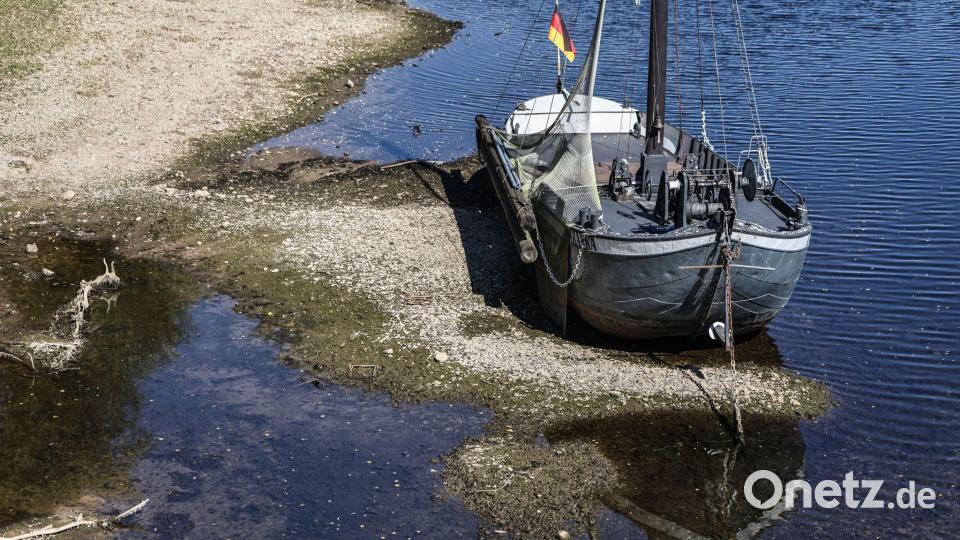 Lahm gelegt: Ein Schiff liegt im Rheinarm an der Insel Grafenwerth auf Grund. Bild: Oliver Berg/dpa