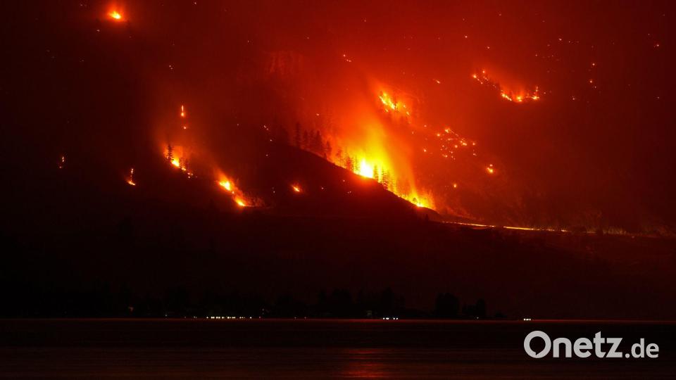 Der Waldbrand in der Bald Range in British Columbia in Kanada wütet an einem Hang. Bild: DARRYL DYCK/The Canadian Press/AP/dpa
