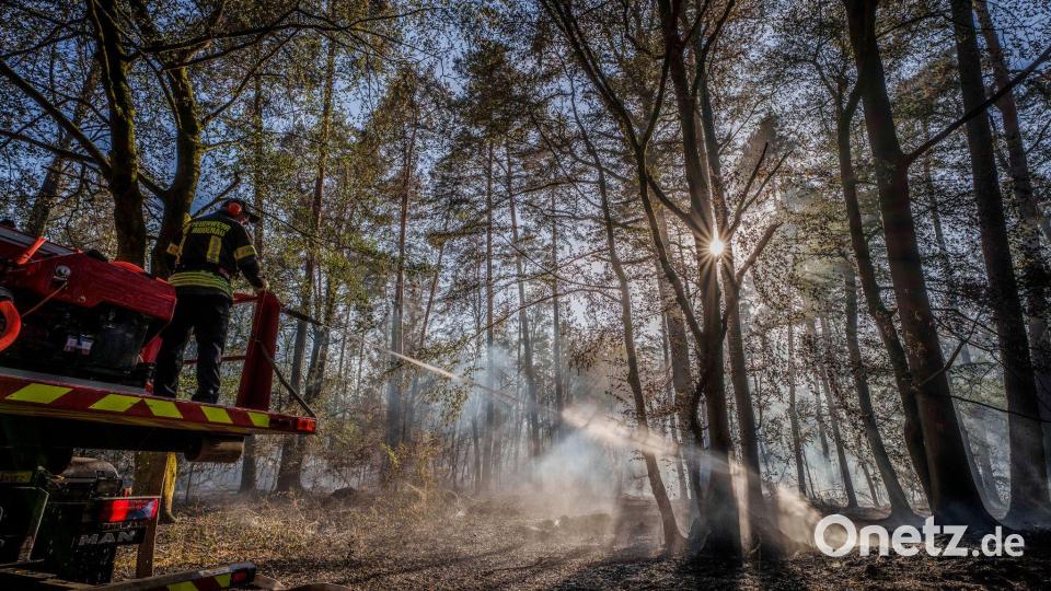 Ein Waldbrand auf hessischem Gebiet hatte auch auf Bayern übergegriffen. (Archivbild) Bild: Andreas Arnold/dpa