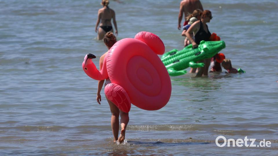 Mit einem Flamingo in den See Bild: Karl-Josef Hildenbrand/dpa