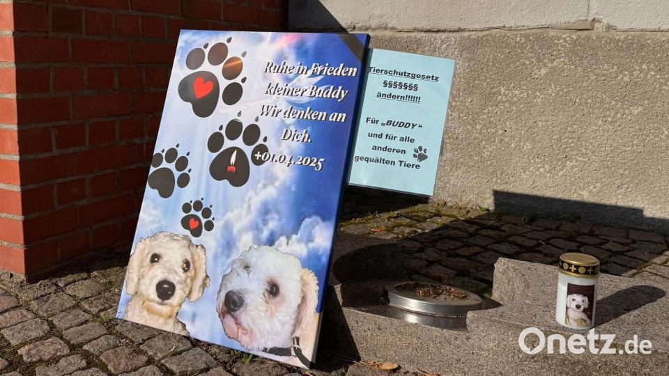 Der Fall hat in Flensburg und in den sozialen Medien für viel Anteilnahme und Betroffenheit gesorgt. Bild: Birgitta von Gyldenfeldt/dpa