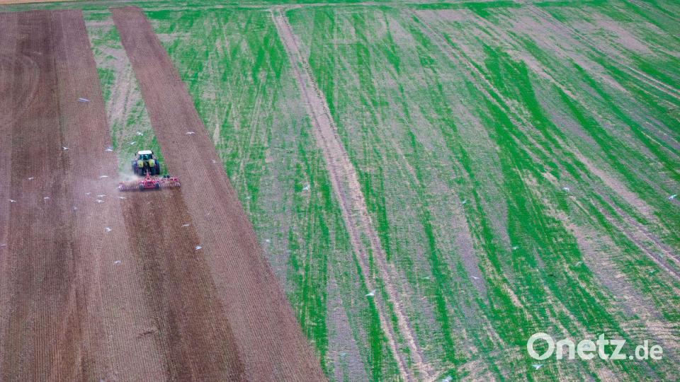 Ein Traktor zieht bei Rosenhagen eine Egge über ein abgeerntetes Getreidefeld und bereitet den Acker auf die Aussaat vor (Aufnahme mit Drohne). Bild: Jens Büttner/dpa