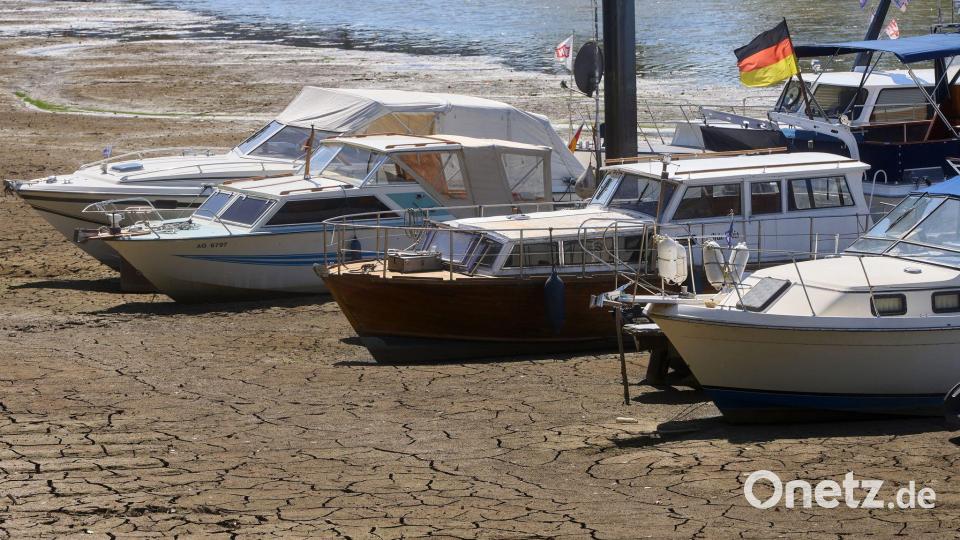 Die Wasserstände im Rhein sind wegen der anhaltenden Trockenheit stark gesunken. Bild: Thomas Frey/dpa