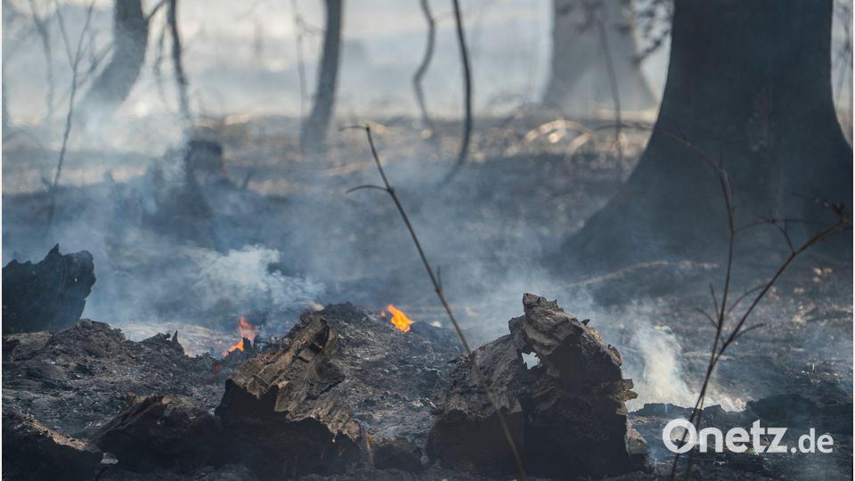 Während die Flammen auf bayerischer Seite gelöscht sind, laufen in Hessen noch die Nachlöscharbeiten. (Archivbild) Bild: Andreas Arnold/dpa
