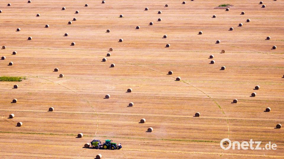Bauern schließen Getreideernte in Mecklenburg-Vorpommern fast ab Bild: Jens Büttner/dpa