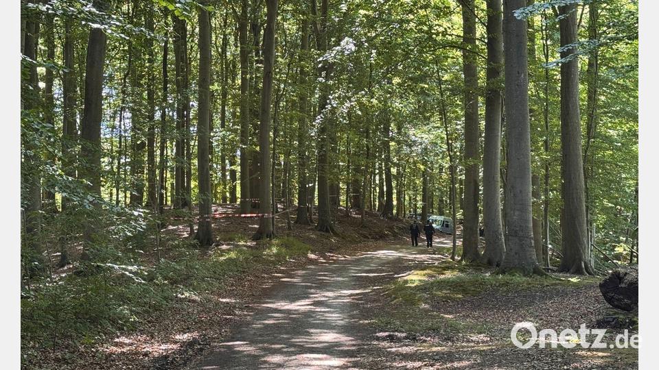 Der Torso wurde in einem Waldstück gefunden. Bild: Birgitta von Gyldenfeldt/dpa