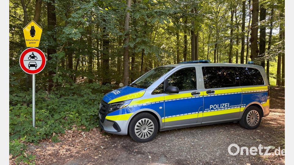 Nach dem Fund eines menschlichen Torsos sucht die Polizei rund um den Fundort in einem Waldstück nach Spuren. Bild: Birgitta von Gyldenfeldt/dpa