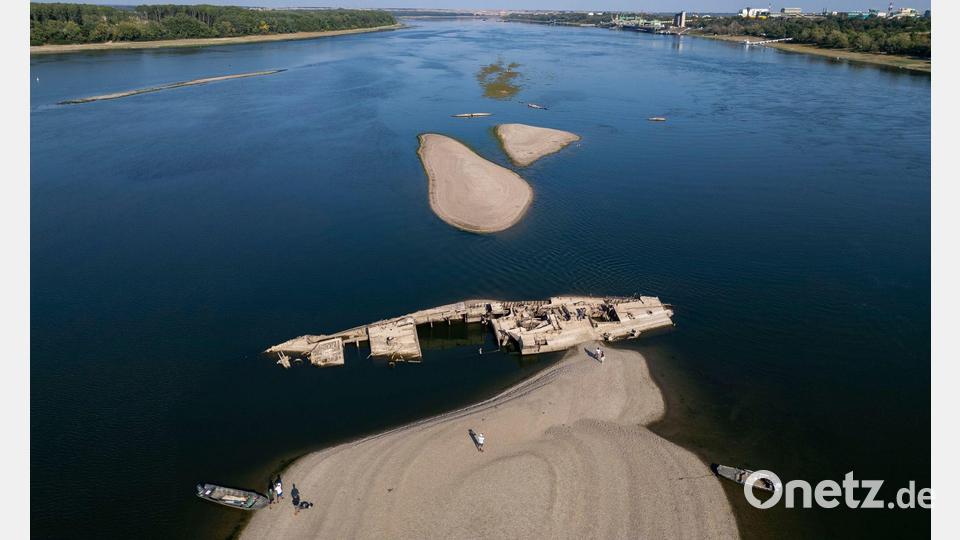 Das Wrack eines deutschen Kriegsschiffs liegt in der Donau. Bild: Marko Drobnjakovic/AP/dpa