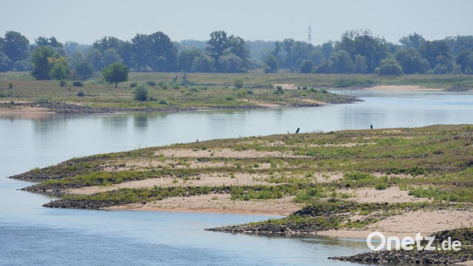 Niedrigwasser erschwert die Schifffahrt auf mehreren Flüssen. Bild: Soeren Stache/dpa