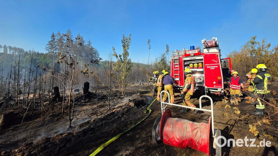 Feuerwehr kämpft gegen Waldbrand auf sieben Hektar im Vogtland Bild: Mike Müller/dpa