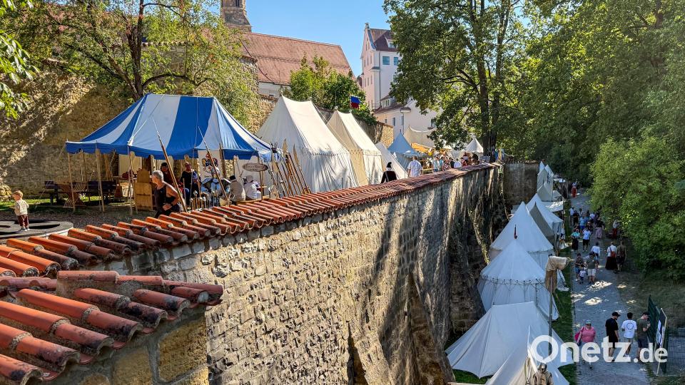 Cantus Ferrum feiert alle zwei Jahre sein Brunnenfest am Maxplatz in Amberg. Bild: Petra Hartl