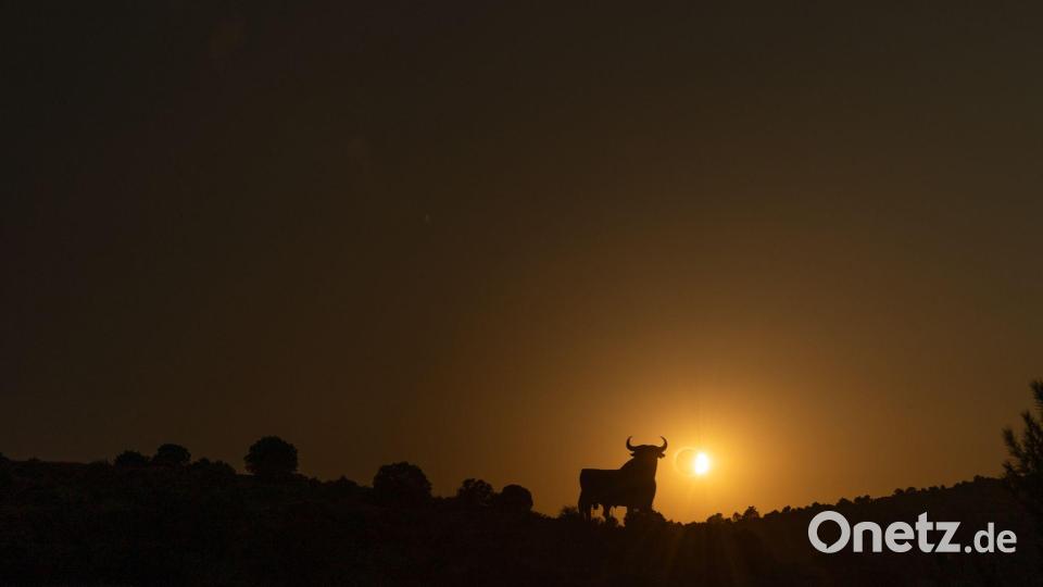 Hinter dem Osborne-Stier in Calatayud schiebt sich der Mond vor die Sonne vor der totalen Sonnenfinsternis. Bild: Jesús Hellín/EUROPA PRESS/dpa