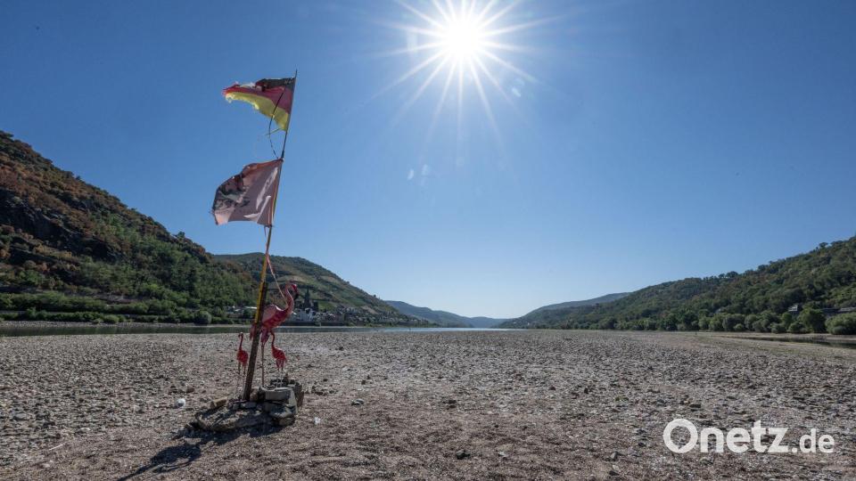 Dürre am Mittelrhein: Ein improvisierter Fahnenmast mit zwei drei rosa Flamingos steht im ausgetrockneten Rheinbett bei Bacharach Bild: Boris Roessler/dpa