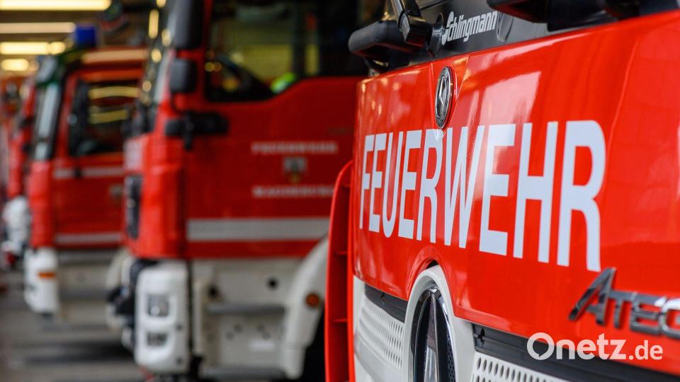 Die Feuerwehr löscht den Waldbrand. (Symbolbild) Bild: Klaus-Dietmar Gabbert/dpa