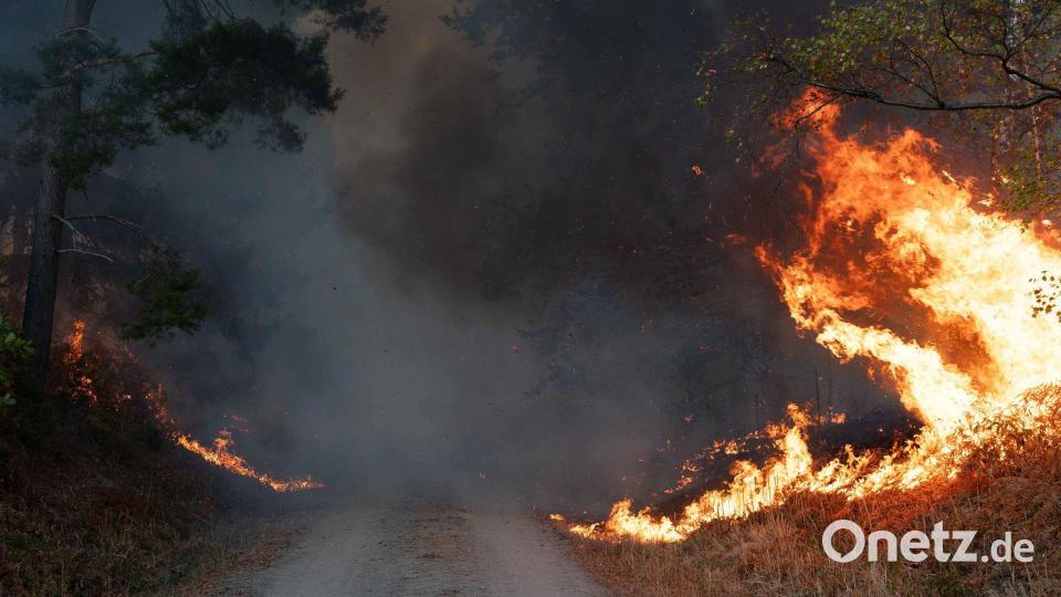 Flammen an einem Waldweg in unmittelbarer Nähe zum Ort Hürtgenwald. Bild: Jan Ohmen/dpa