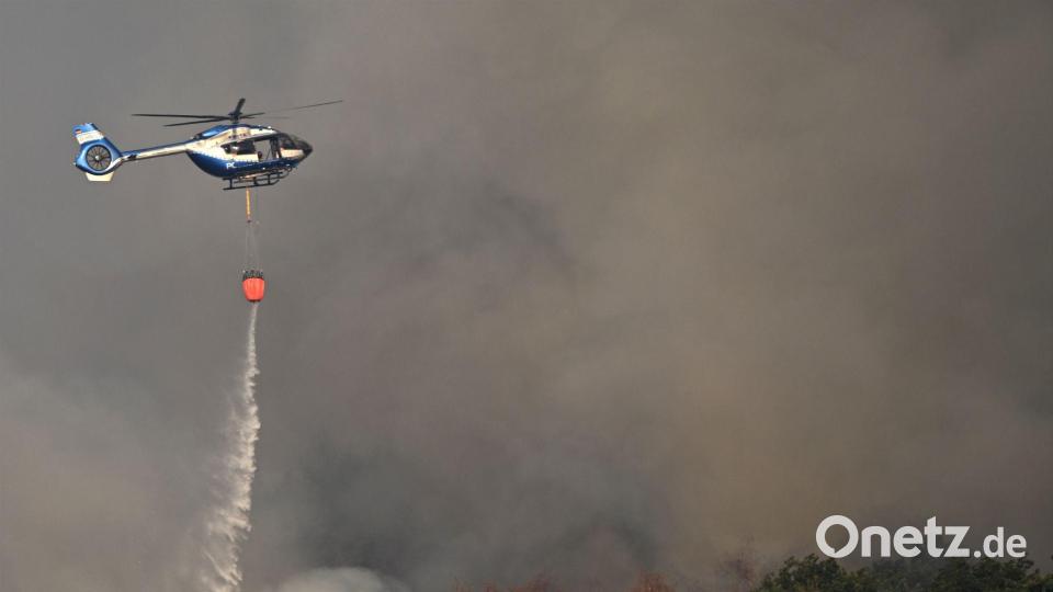 Waldbrände haben in Deutschland über die Jahre hinweg zugenommen. Bild: Federico Gambarini/dpa