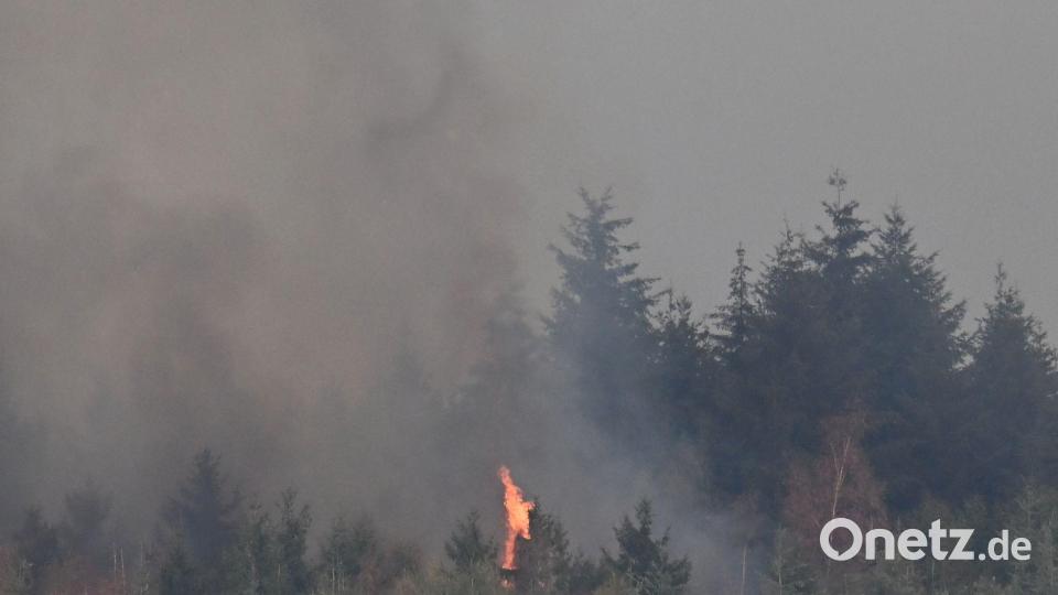 Bei dem großen Waldbrand nahe Hürtgenwald im nordrhein-westfälischen Kreis Düren hat sich die Lage in der Nacht zugespitzt. Bild: Federico Gambarini/dpa