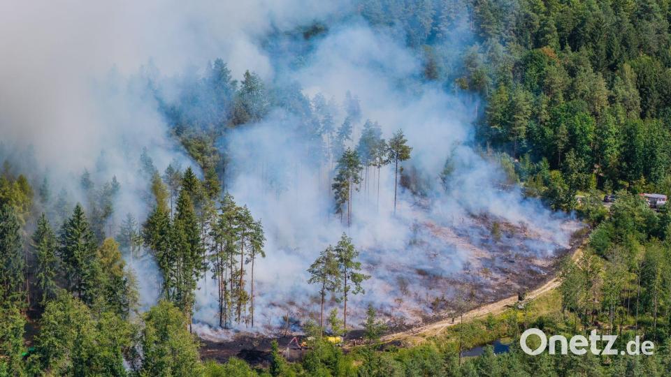 Mehr als 200 Einsatzkräfte haben zusammen mit Landwirten gegen den Waldbrand gekämpft. Bild: Ferdinand Merzbach/NEWS5/dpa