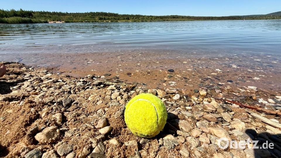 Obwohl das Wasser an manchen Stellen klar zu sein scheint, kann es an anderen Stellen durch die Algenblüte giftig sein. Gefährlich ist das auch für Hunde. Bild: Gabi Schönberger