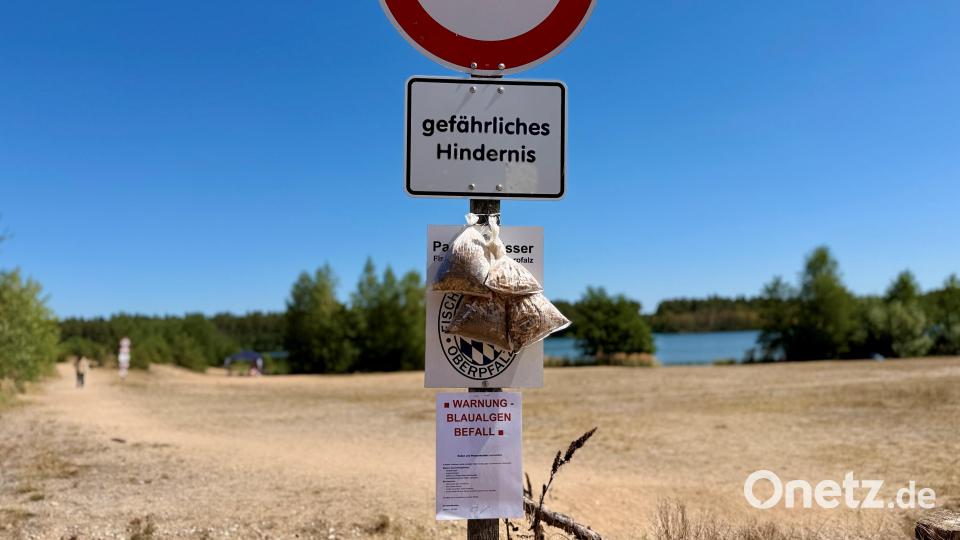 Schilder warnen am Dießfurter Freizeitsee vor giftigen Blaualgen. Bild: Gabi Schönberger