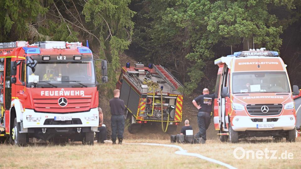 Die Feuerwehr ist beim Waldbrand im Einsatz. Bild: Federico Gambarini/dpa