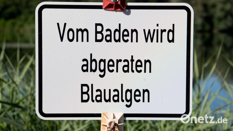An einigen Seen im Norden werden wegen Blaualgen Badeverbote ausgesprochen. (Symbolbild) Bild: Julian Stratenschulte/dpa