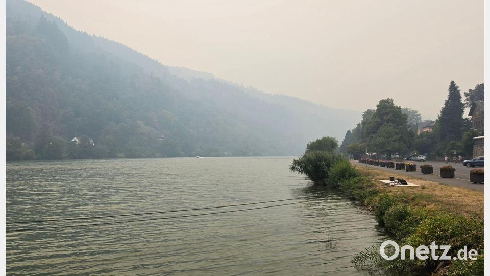 Die starke Rauchentwicklung ist auch in Rheinland-Pfalz zu sehen. Bild: Kevin Schößler/dpa