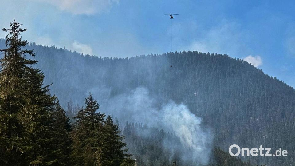 In Kanada und den USA wüten häufig verheerende Waldbrände. Bild: Haven Daley/AP/dpa