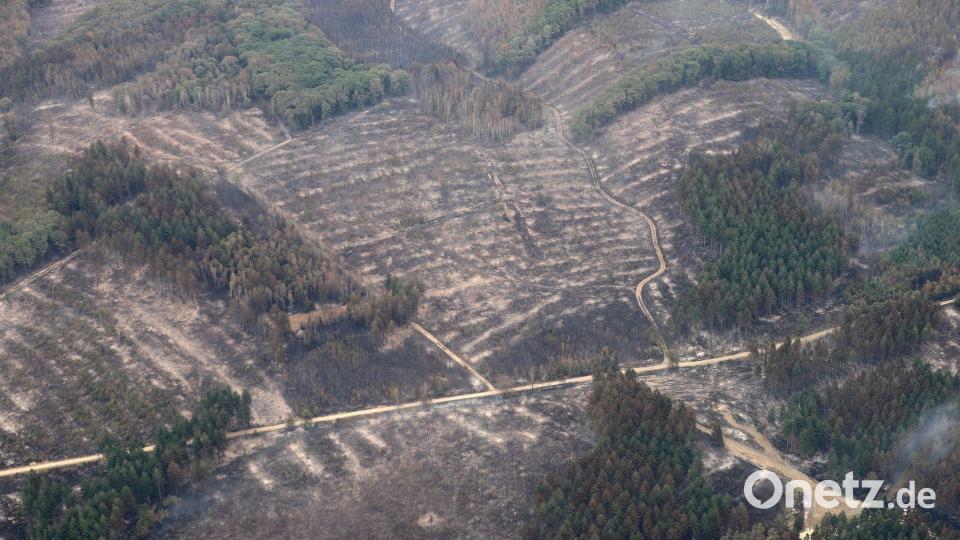 Die Aufnahme aus einem Flugzeug zeigt das Waldbrandgebiet im Hürtgenwald. Bild: Sascha Thelen/dpa