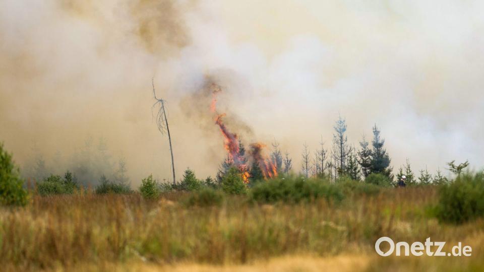 Flammen in der Hochmoor- und Sumpflandschaft Hohe Venn - es liegt unweit der deutschen Grenze. Bild: Christoph Reichwein/dpa