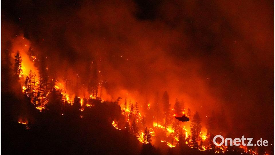 Mit einer sich erhöhenden Ausbreitungsgeschwindigkeit nimmt auch die Intensität der Feuer zu. Bild: Darryl Dyck/The Canadian Press via AP/dpa