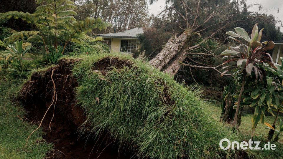 Hurrikan „Lala“ hat auf Hawaiis größter Insel Big Island schwere Schäden hinterlassen. Bild: Stephen Lam/San Francisco Chronicle via AP/dpa
