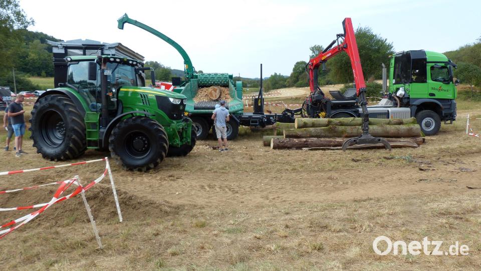 Holzverarbeitung. Bild: Heidi Franitza
