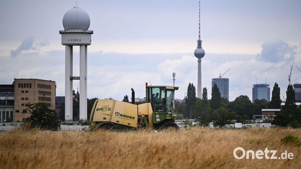 Ein Mähdrescher fährt auf der Tempelhofer Freiheit. Auf dem Tempelhofer Feld hat die jährliche Großmahd des rund 135 Hektar großen inneren Wiesenrings begonnen. Der Schnitt erfolgt in Abstimmung mit dem Naturschutz erst im Spätsommer, sobald die Jungvögel der geschützten Feldlerche flügge sind. Bild: Britta Pedersen/dpa