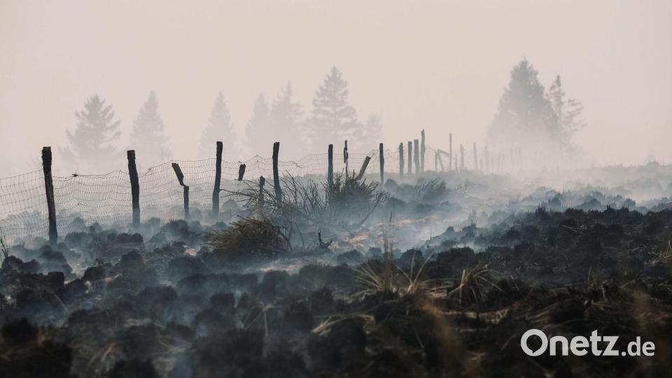 Rauch steigt von einem verkohlten Feld bei Waimes in Belgien auf. Bild: Marius Burgelman/AP/dpa
