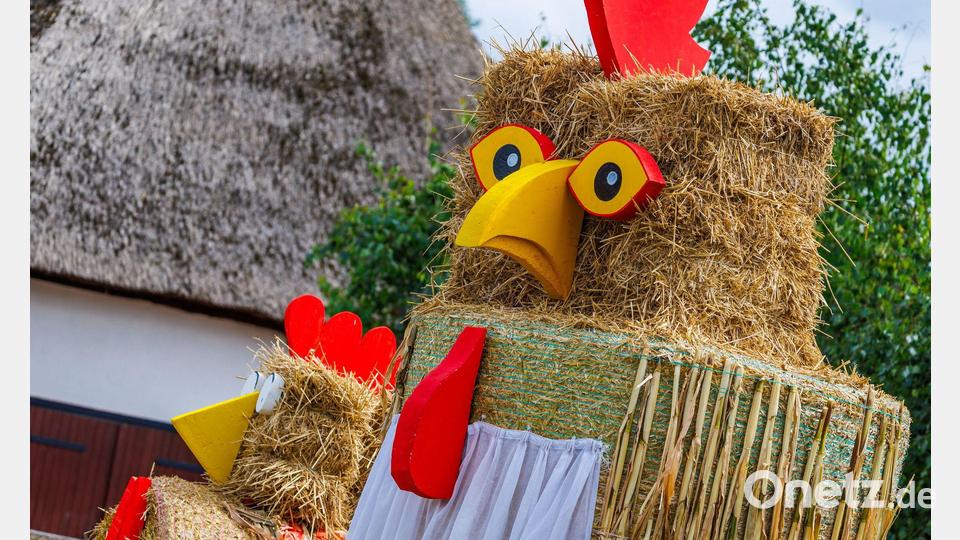 Die Vorboten für das diesjährige Erntedankfest Bild: Jens Büttner/dpa