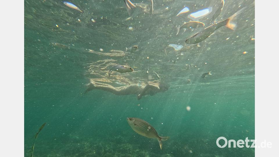Menschen baden am Strand von Bendinat auf der Insel Mallorca. (Archivbild) Bild: Clara Margais/dpa