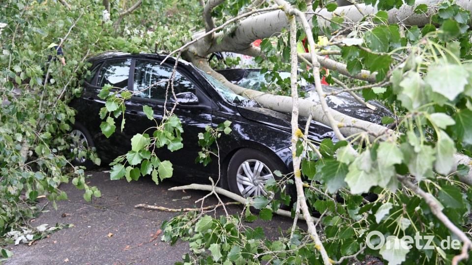 Schaden entstanden auch durch umgestürzte Bäume, die auf Autos fielen. Bild: Sappeck/BLP/dpa