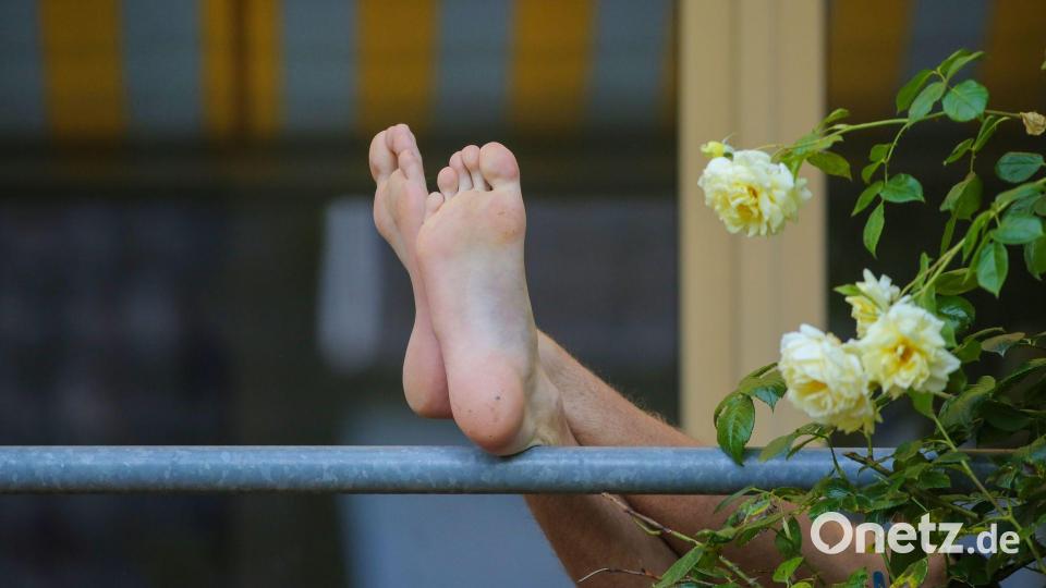 Die Internationale Gartenausstellung IGA sucht den schönsten Balkon im Ruhrgebiet. (Symbolbild) Bild: Thomas Warnack/dpa/dpa-tmn