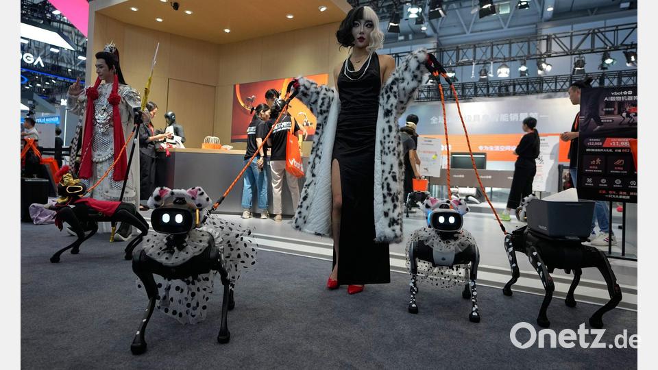 Roboterhunde auf der Weltrobotik-Konferenz in Peking. Bild: Ren Chao/XinHua/dpa