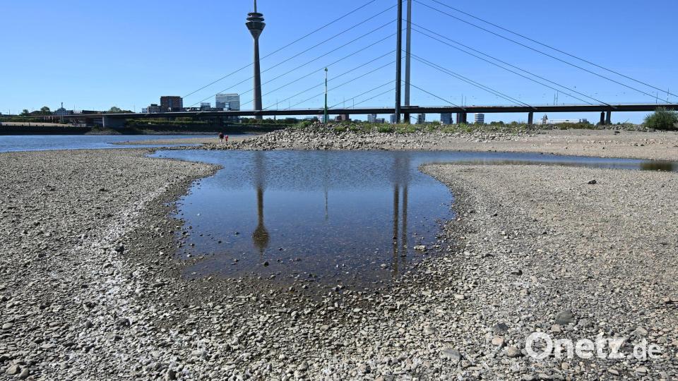Wegen des Niedrigwassers können Binnenschiffe nur begrenzt beladen werden (Archivbild) Bild: Federico Gambarini/dpa