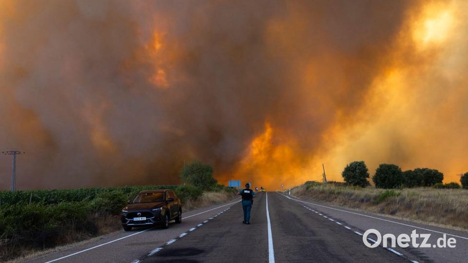 Dichter Rauch während eines Waldbrandes am Rande einer Landstraße in Spanien (Archivbild) Bild: Paloma V. Escarpa/EUROPA PRESS/dpa