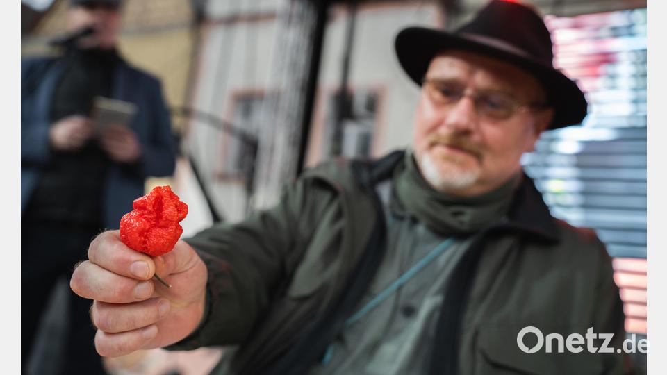 Klein, verschrumpelt, höllisch scharf: Feuerrote Chilischoten sind nur eine von vielen Attraktionen beim Nachbarschafts-Foodfest in Tachov. Bild: Matouš Horáček/Česko-bavorský spolek přátelství a spolupráce