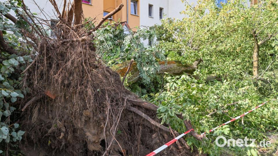 Am Tag danach ist in Fürstenwalde Aufräumen angesagt. Bild: Patrick Pleul/dpa