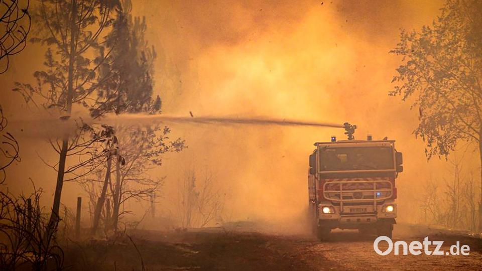 Ein Feuerwehrwagen sprüht Flüssigkeit auf einen Waldbrand in der Region Bordeaux. (Archivbild) Bild: Uncredited/Service Communication-Protocole SDIS 33/AP/dpa