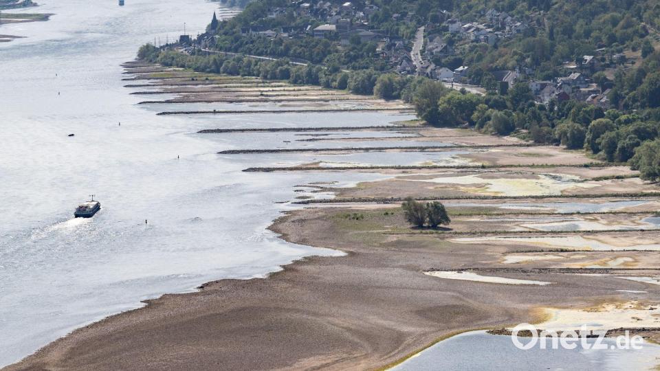 Das Niedrigwasser auf wichtigen Wasserstraßen wie dem Rhein ist eine Belastung für die deutsche Wirtschaft. (Archivbild) Bild: Boris Roessler/dpa
